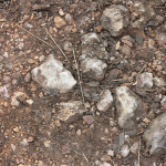 Ground texture 2 channel diffuse textures 2 channel diffuse textures 2ChannelDiffuse01 150x150