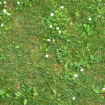 Grass texture 2 channel diffuse textures 2 channel diffuse textures 2ChannelDiffuse03 150x150