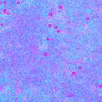 Grass texture brightness saturation 2 channel diffuse textures 2 channel diffuse textures 2ChannelDiffuse03b 150x150