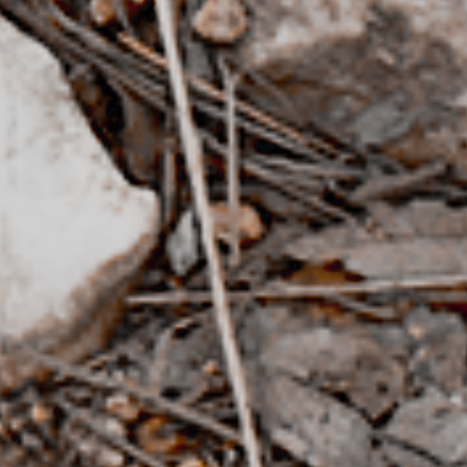 2 channel diffuse textures 2 channel diffuse textures 2ChannelDiffuse41c