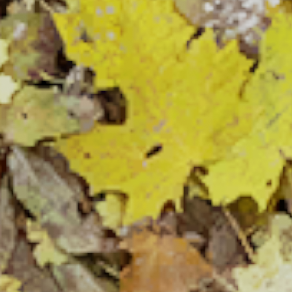 2 channel diffuse textures 2 channel diffuse textures 2ChannelDiffuse42a