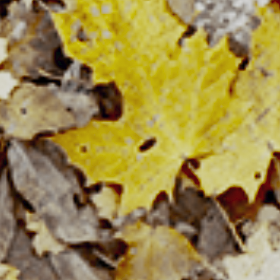 2 channel diffuse textures 2 channel diffuse textures 2ChannelDiffuse42c