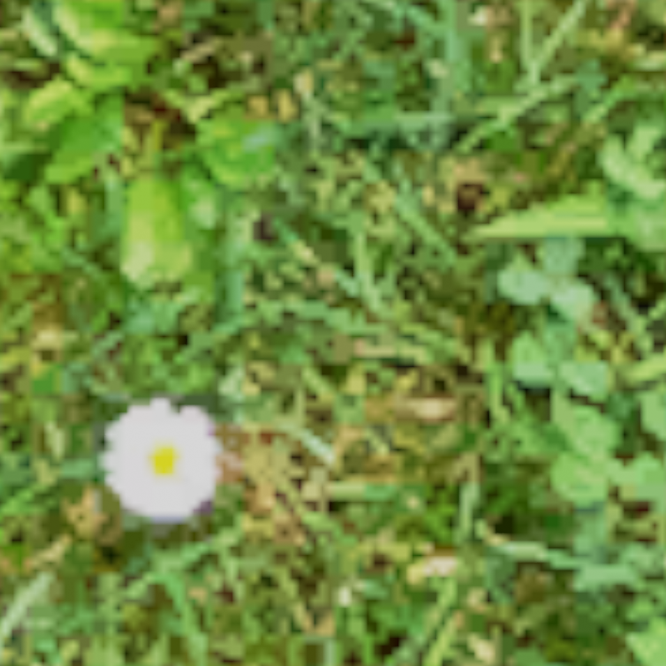 2 channel diffuse textures 2 channel diffuse textures 2ChannelDiffuse43a