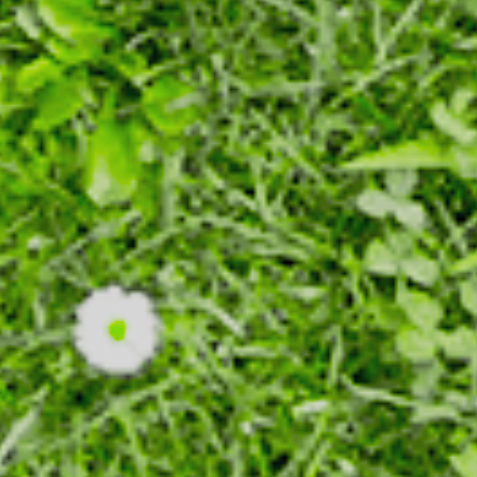 2 channel diffuse textures 2 channel diffuse textures 2ChannelDiffuse43c