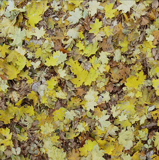 2 channel diffuse textures 2 channel diffuse textures 2ChannelDiffuseComparisons2a