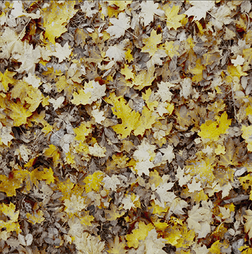 2 channel diffuse textures 2 channel diffuse textures 2ChannelDiffuseComparisons2c